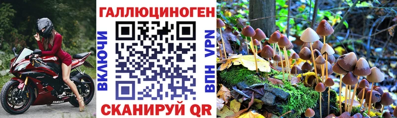 Псилоцибиновые грибы прущие грибы маркетплейс формула Серов